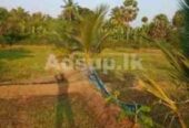 Land for sale Anuradhapura