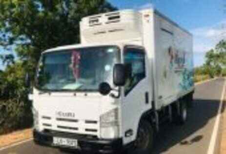 Isuzu Elf freezer truck 2013