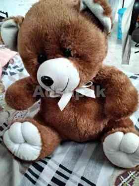 Teddy bear for Sale