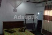 Holiday Bungalow Type Hotel for Sale in Pallekele