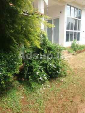 Commercial Property for Sale – Anuradhapura