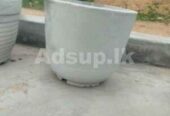 Cement Flower Pot