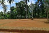 Land For Sale Near Puththalama Kurunegala Bus Road