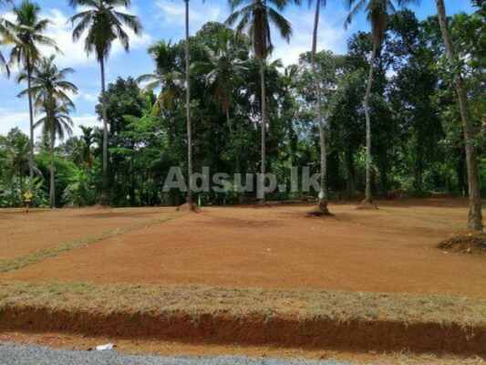 Land For Sale Near Puththalama Kurunegala Bus Road