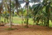 Land Plots for Sale Gampaha Rukgahawila