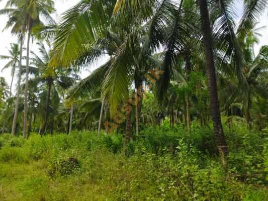 Land for sale in Pahala KIniyama Weerapokuna