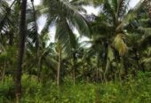 Land for sale in Pahala KIniyama Weerapokuna