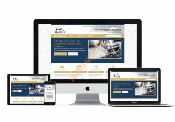 Professional website for your business