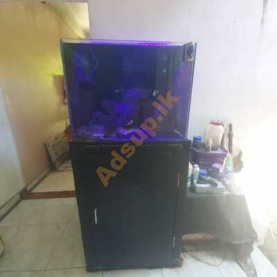 Marine fish tank for sale ( sea fish tank)