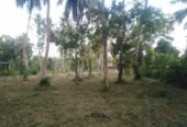 Land for sale in Marawilla