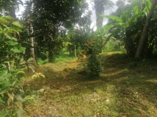 House for Sale in Horana with Land