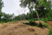 Land for Sale Alavwa Narammala Urgent