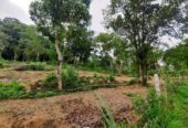 Land for Sale Alavwa Narammala Urgent