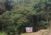 Land for sale in Kegalle Pitihuma