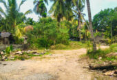Land for Sale in Himbutana, Salmaluyana