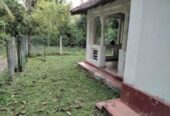 Valuable Land for Sale Minuwangoda With Colonial House