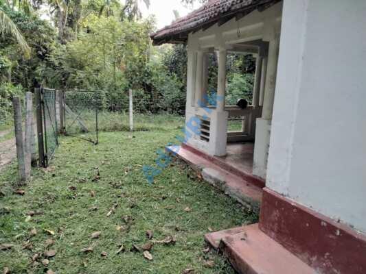 Valuable Land for Sale Minuwangoda With Colonial House