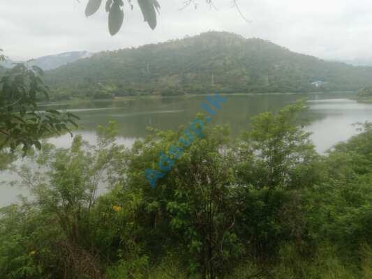 Lake View Land for Sale Digana