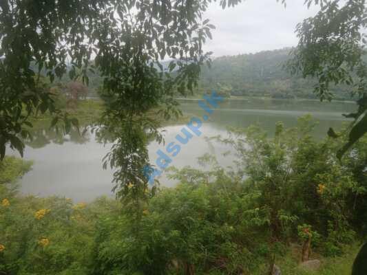 Lake View Land for Sale Digana
