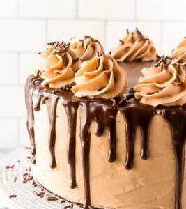chocolate-cookie-butter-cake-2