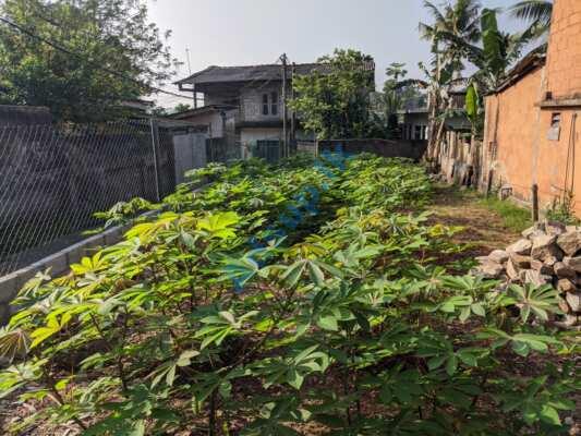 Land for Quick Sale in Maharagama