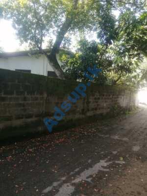 Land for sale in Nawala | T-2299
