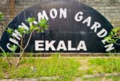 land for sale in Ekala for 8 lakhs