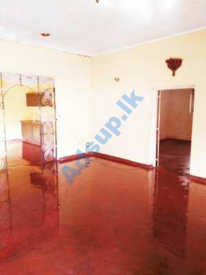 Single Story House for Rent in Negombo
