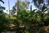 Land for sale Kurunagala-Negombo Rd