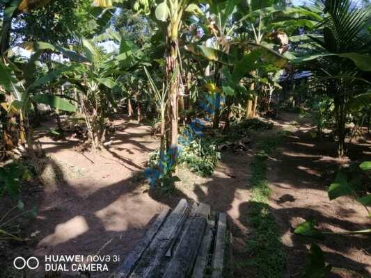 Land for sale Kurunagala-Negombo Rd