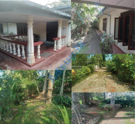 Old house with land for Sale