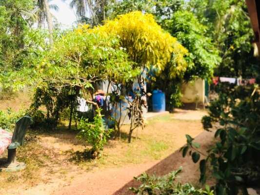House For Sale In Wennappuwa