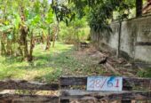 17 Perches Bare Land For Sale in Kalagedihena