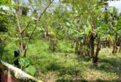 17 Perches Bare Land For Sale in Kalagedihena
