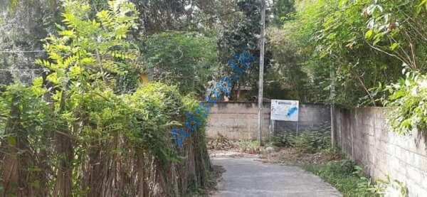 Kandana near Gampaha Rd 10 p land for sale